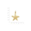 James Avery Cape Starfish Charm | Charms