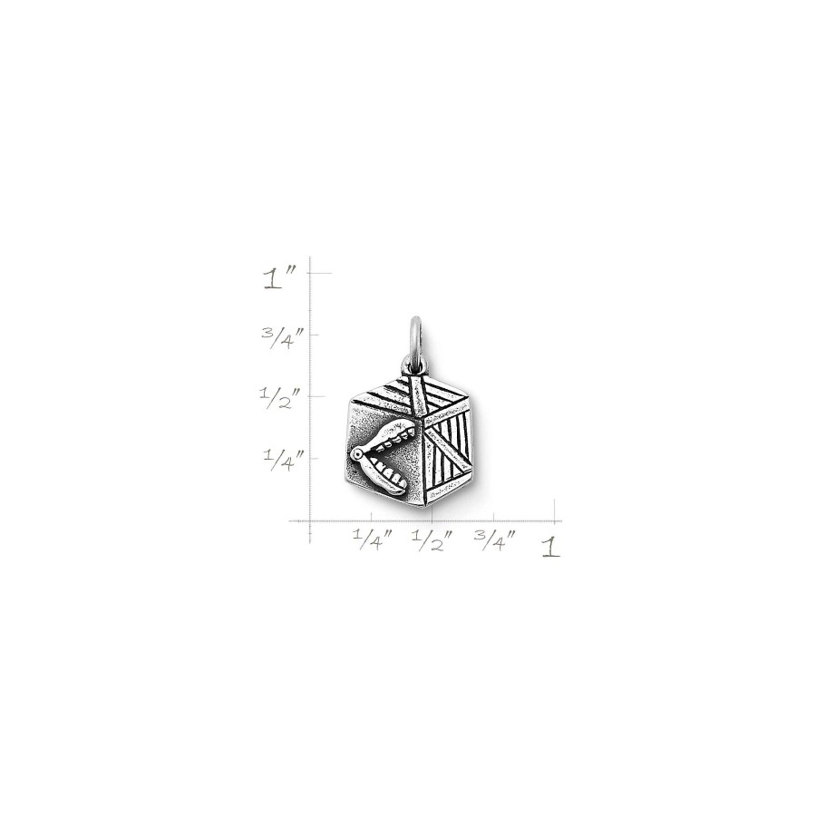 James Avery Chatter Box Charm | Charms